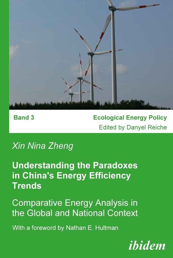 Understanding the Paradoxes in China's Energy Efficiency Trends