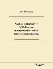Nils Hammon: Analyse perturbativer QCD-Prozesse in ultrarelativistischen Schwerionenkollisionen