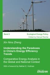 Xin Nina Zheng: Understanding the Paradoxes in China's Energy Efficiency Trends